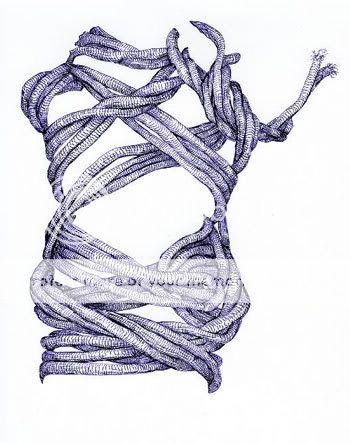 linder_small_purple_rope_ap.jpg
