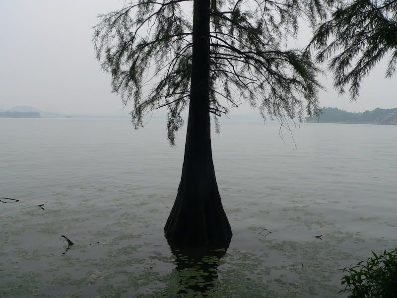 P1400536.jpg