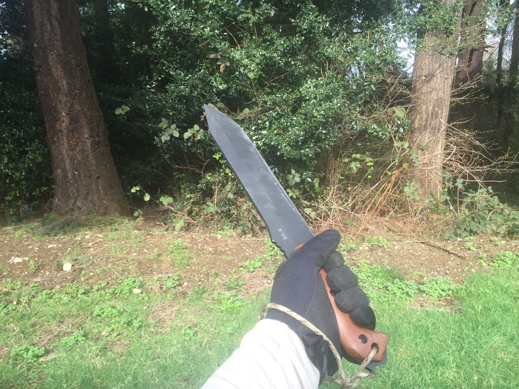 vZ3HBExh.jpg