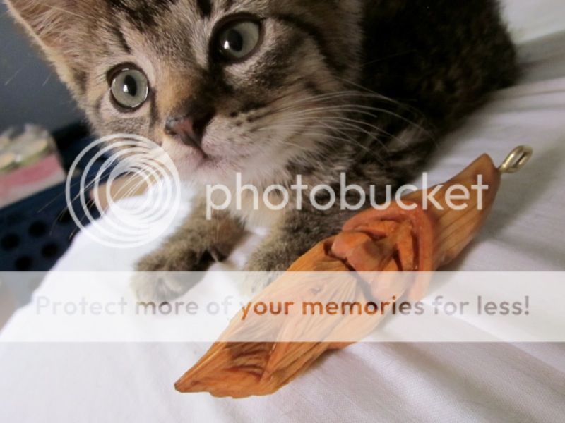 IMG_0837a.jpg~original