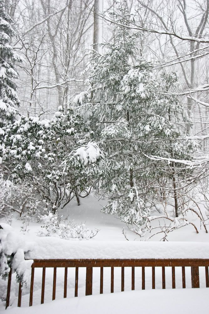 Blizzard_Feb-10-2010d.jpg