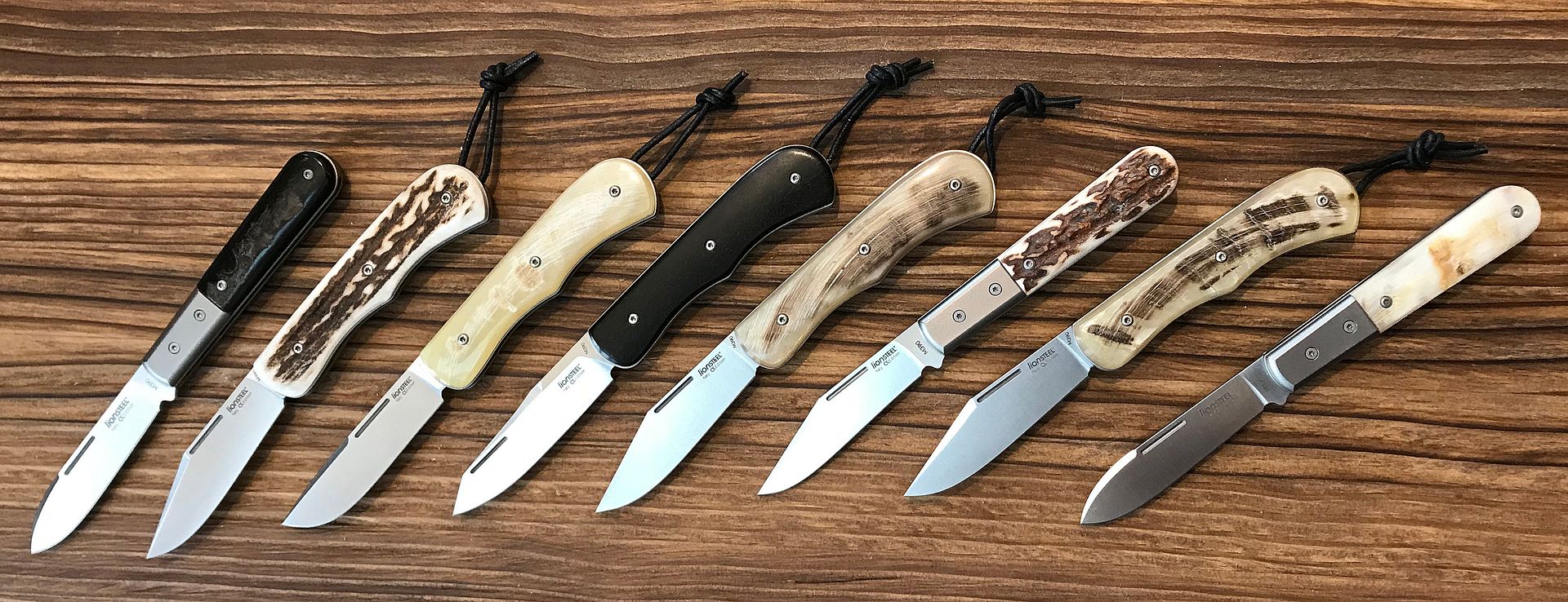 LionSteel%20family%20-%2003.jpg