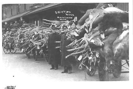 loadofdeerMI.jpg