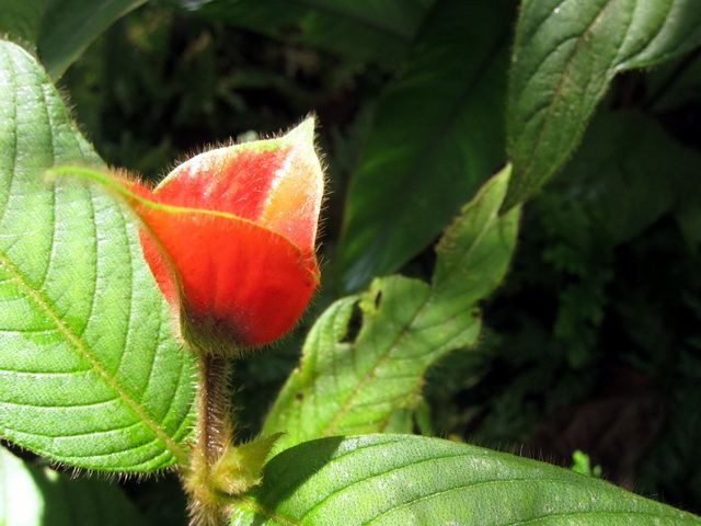 IMG_8671.jpg