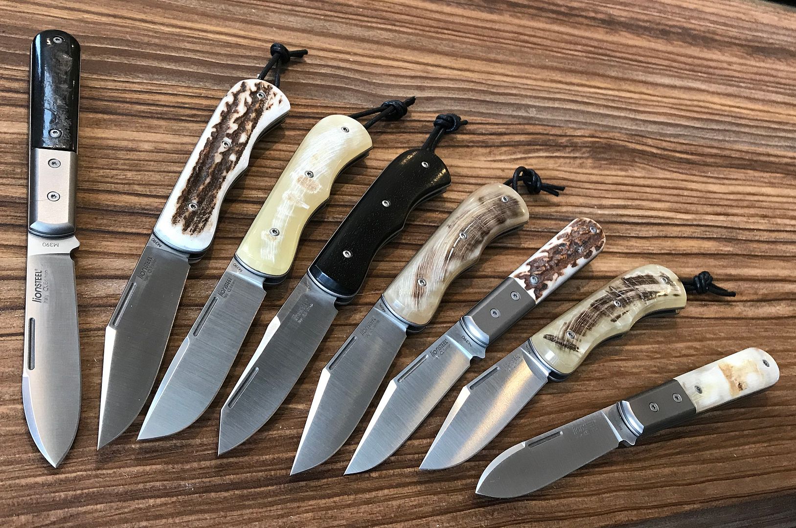 LionSteel%20family%20-%2004.jpg