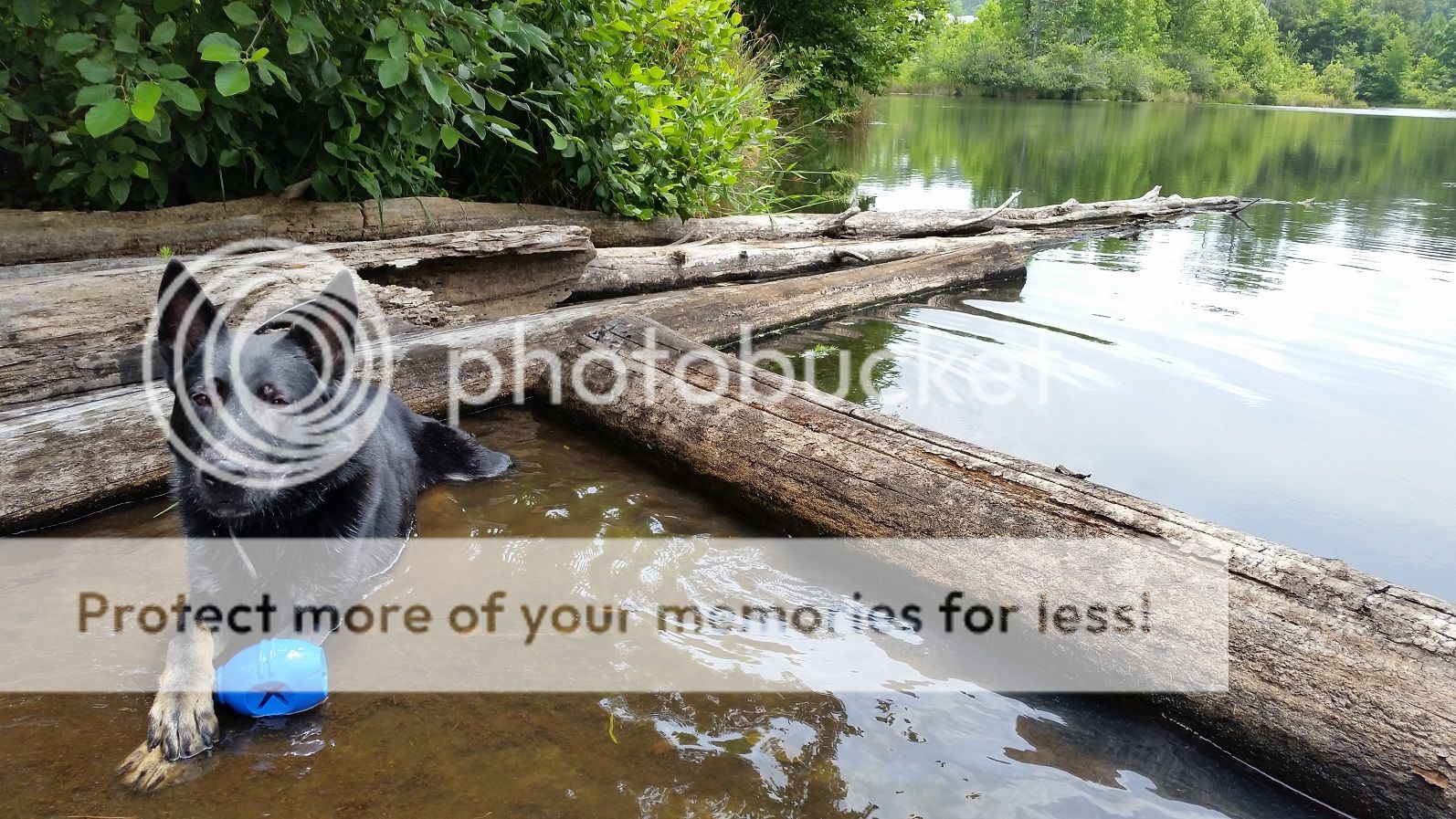 turbo_june2015_resize.jpg