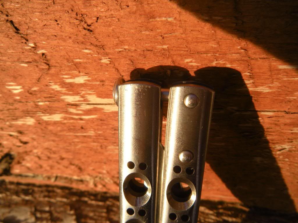 DSCN1585.jpg