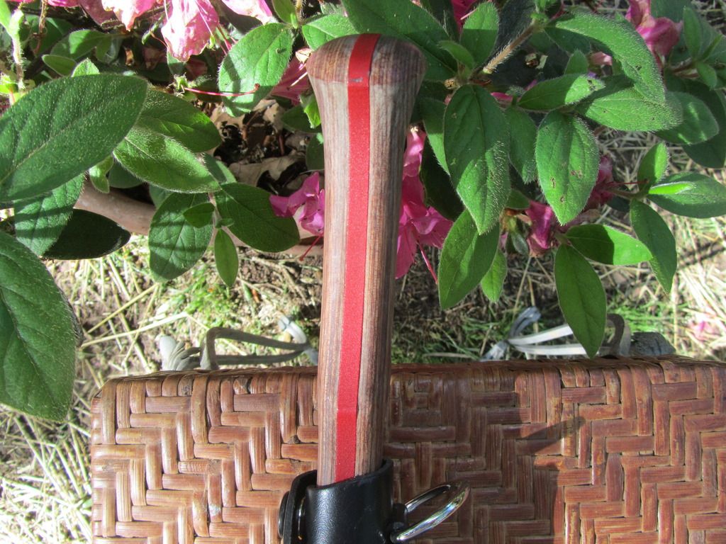 IMG_2533_zpswqpstopq.jpg