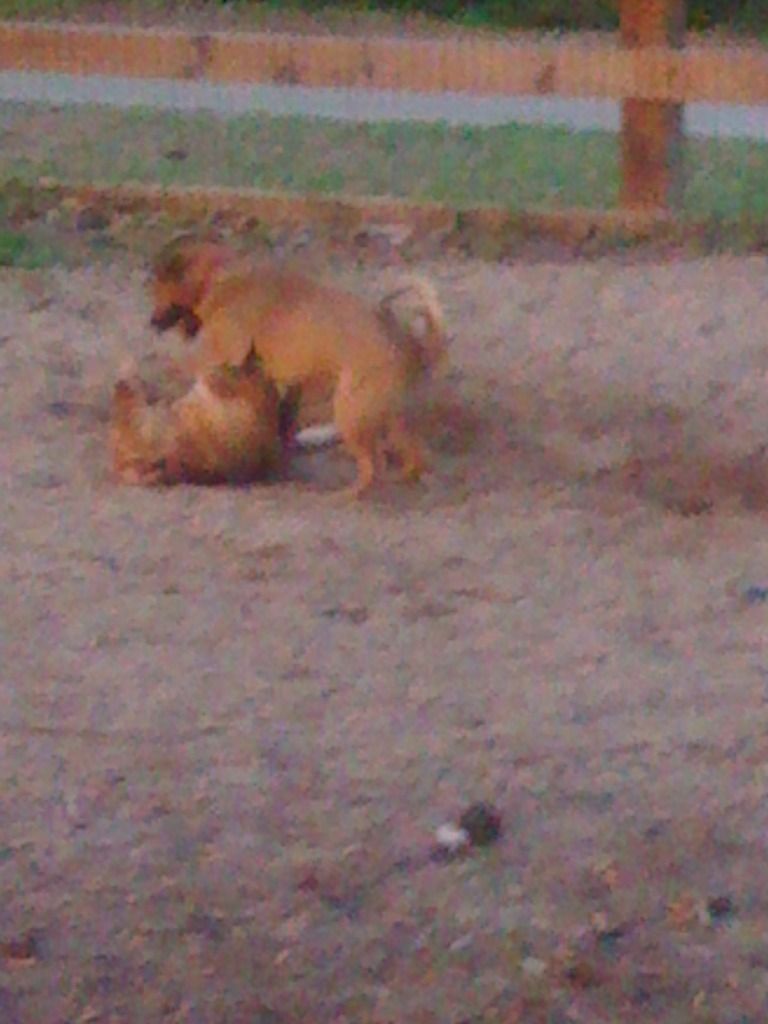 June102012468.jpg