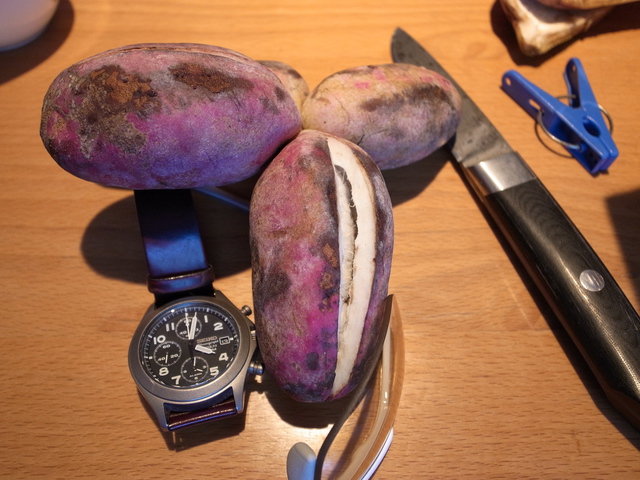 2012.10.14.R0015362.JPG