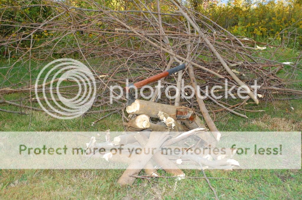 DSC_1161.jpg