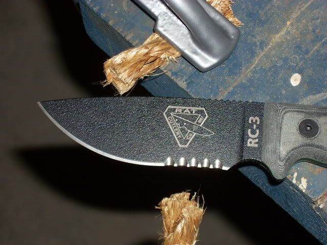 DSCN1313.jpg