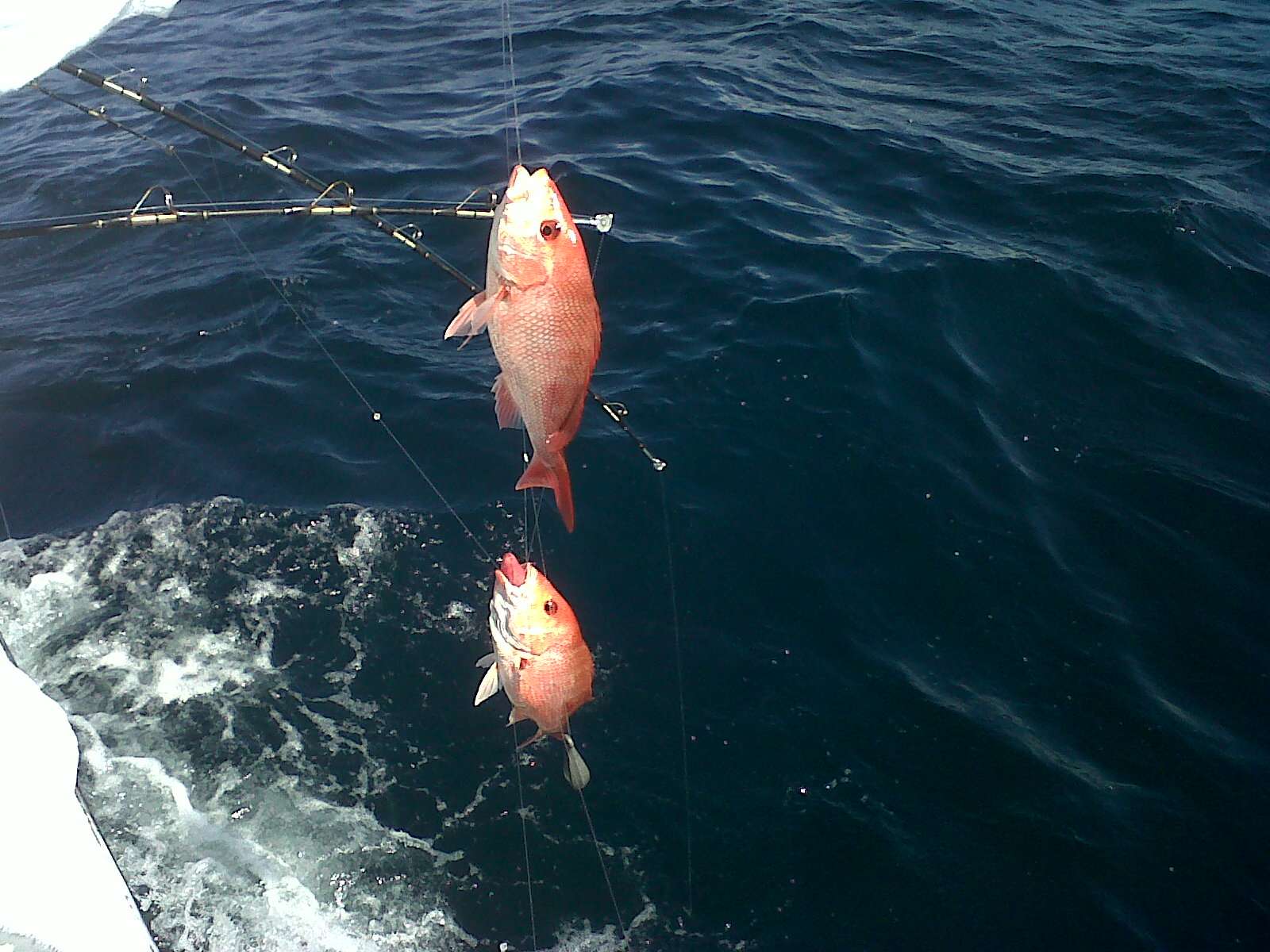 img01332201207110932.jpg