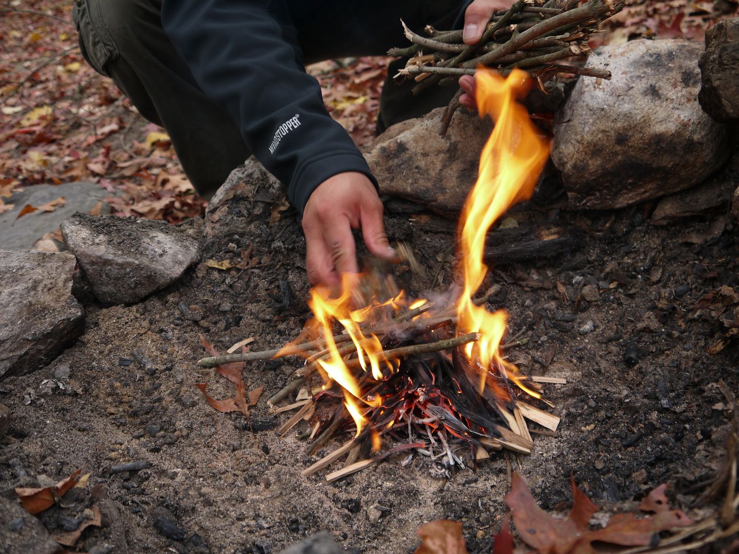 P1000464.jpg