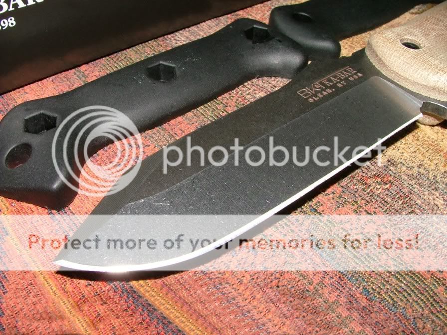 DSCF3773.jpg