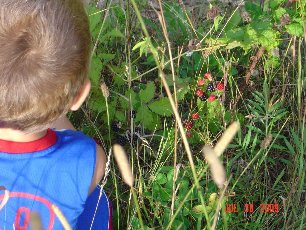 DSC01350.jpg
