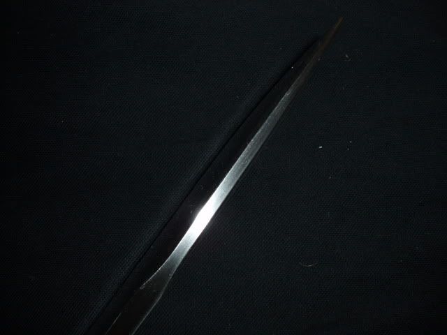 P1010040.jpg