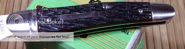 DSC01125-1.jpg