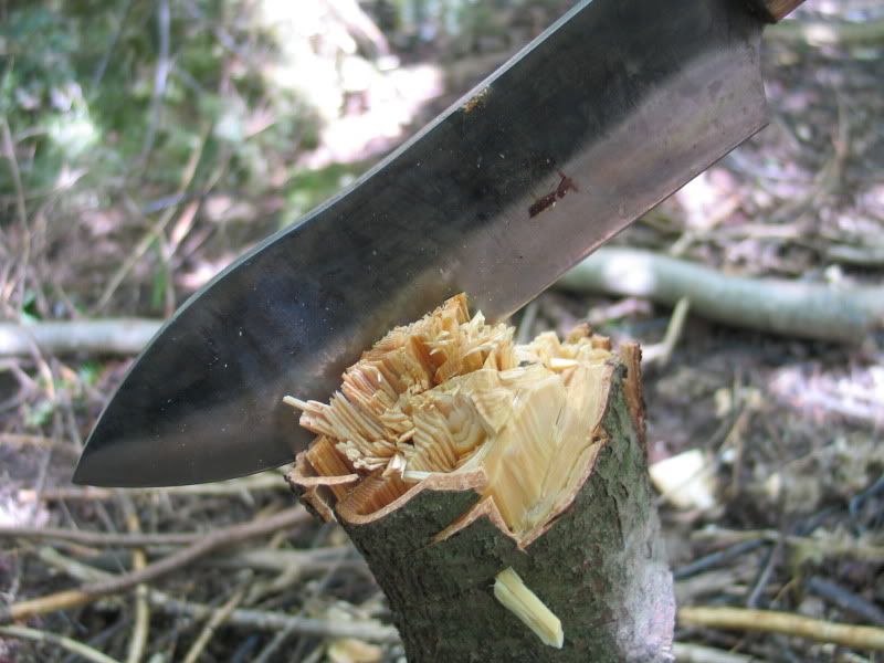 ICOPA059.jpg