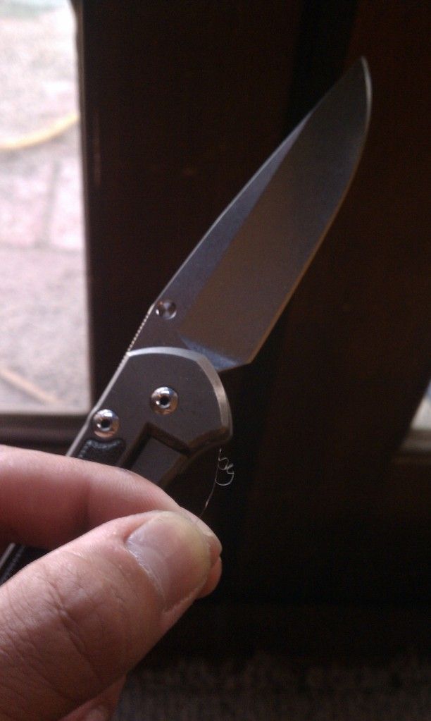 IMAG0728.jpg