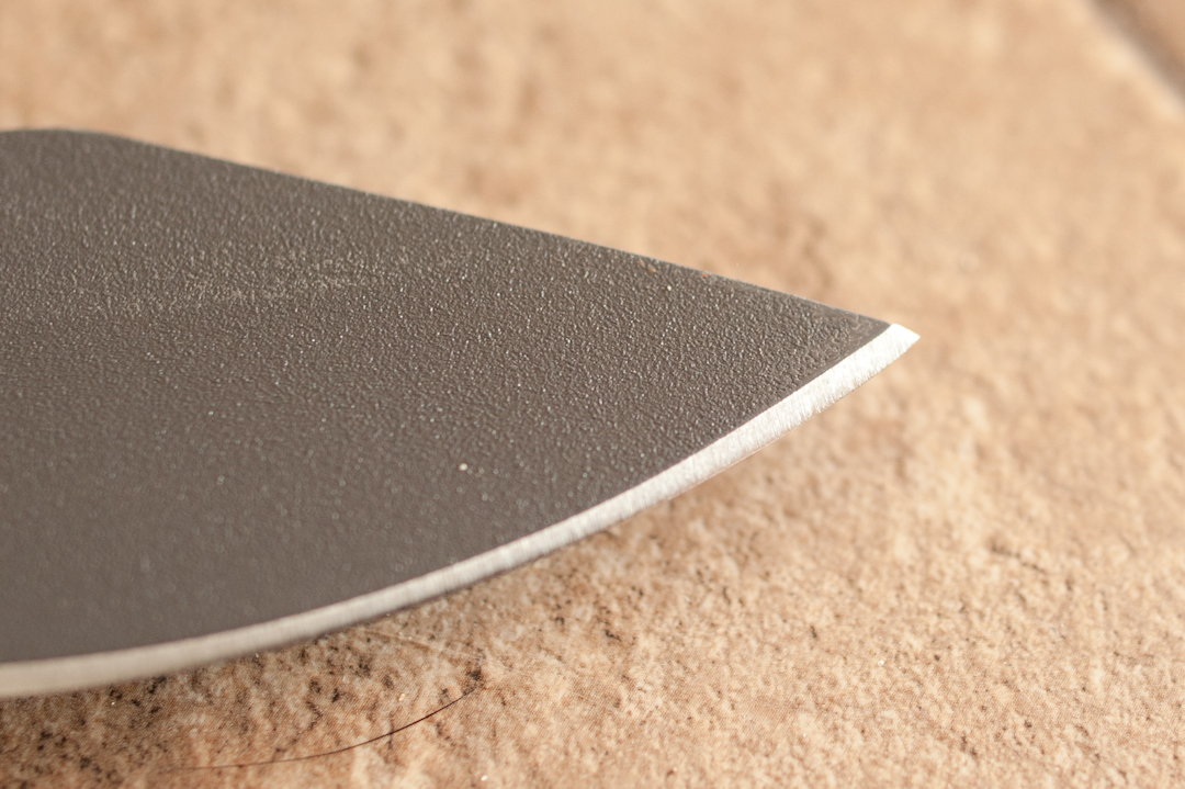 Busse-6.jpg