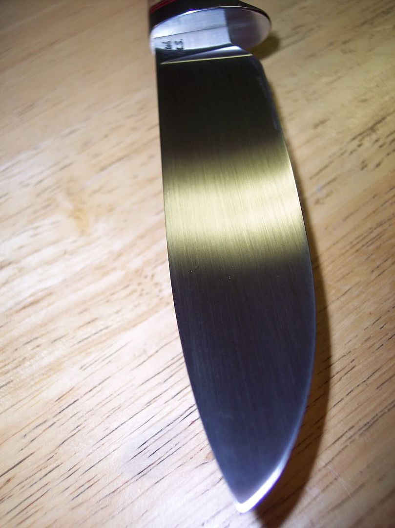 fitch_hunter022.jpg
