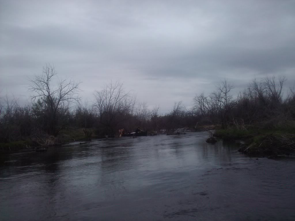 101064908_photobucket_105884_.jpg