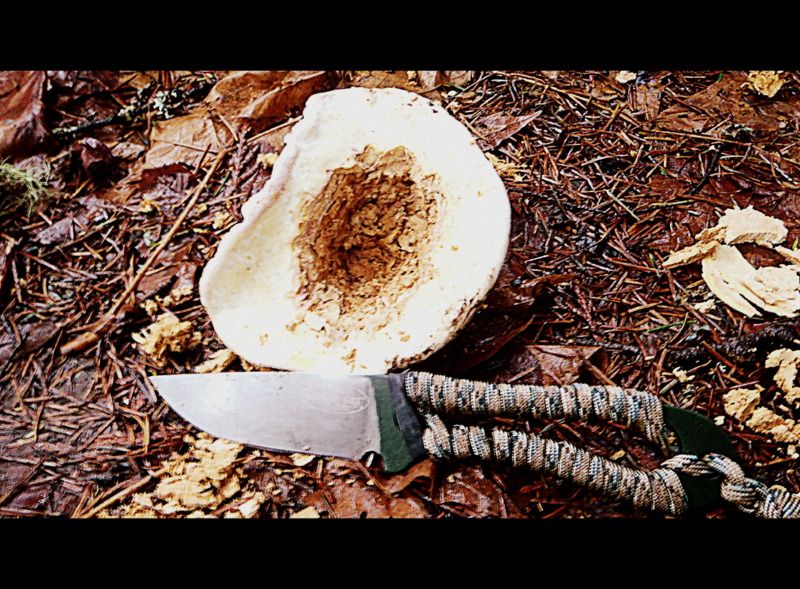TodInletFall2012001.jpg