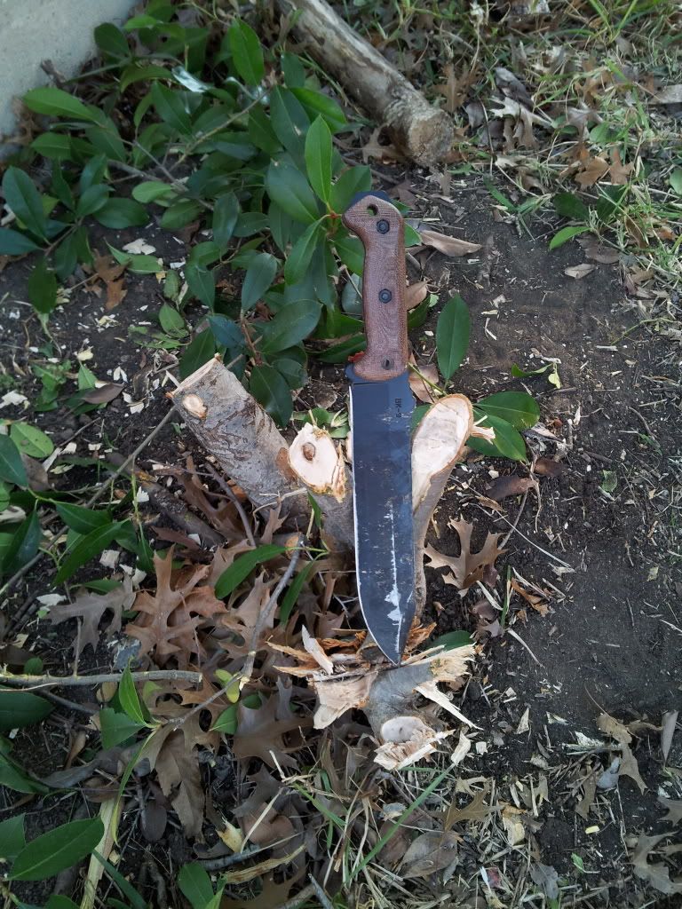 20121224_084417.jpg