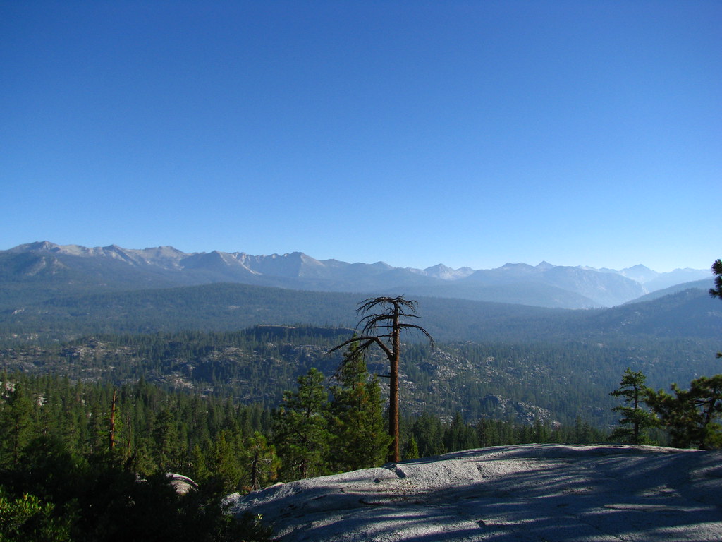 4965721866_9c72401ca3_b.jpg