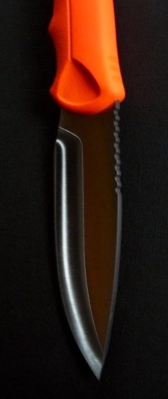 11-10-2010b006.jpg