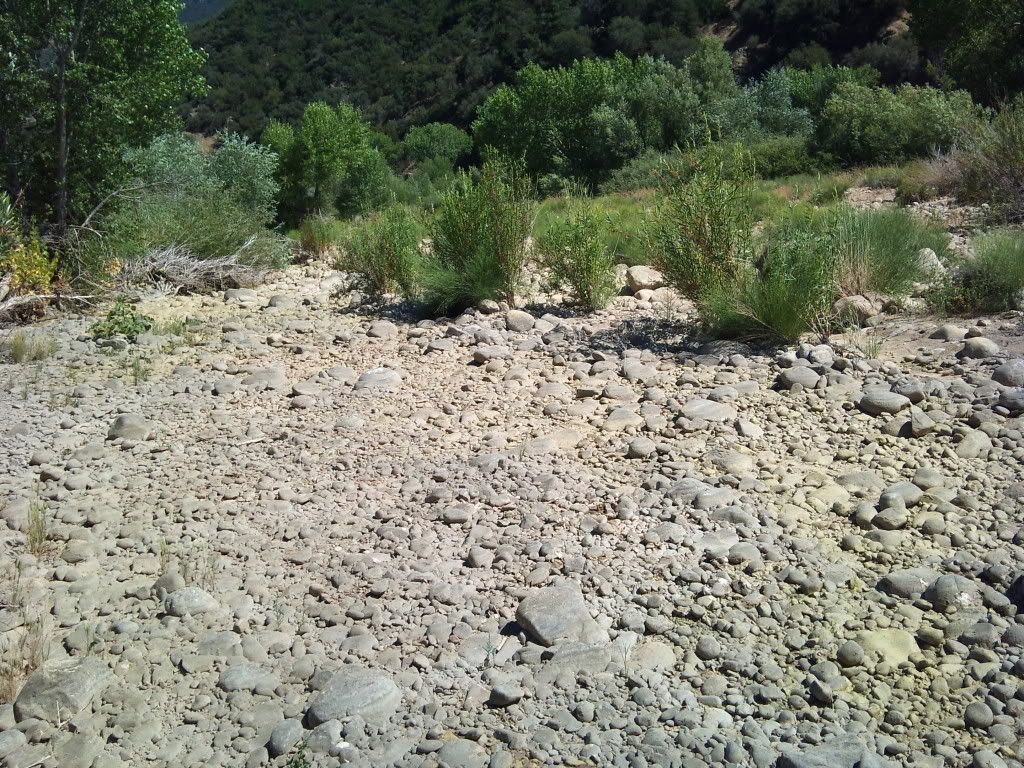 2011-08-09152613.jpg