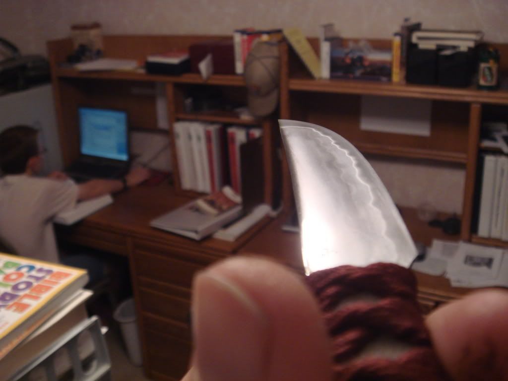 DSC01774.jpg