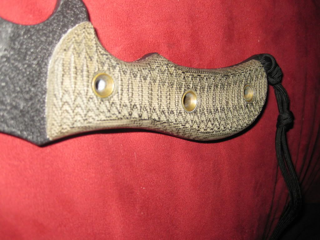 IMG_1242.jpg