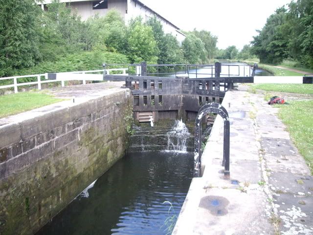 IMGP0515.jpg