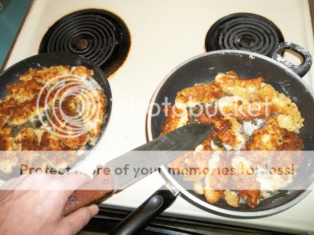 100_0044.jpg