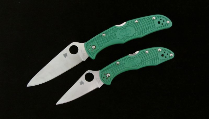 Endura_Delica_800x457.jpg