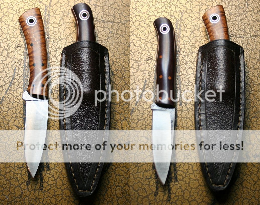 sheath_fiddler_bushys3_HB1_pair.jpg