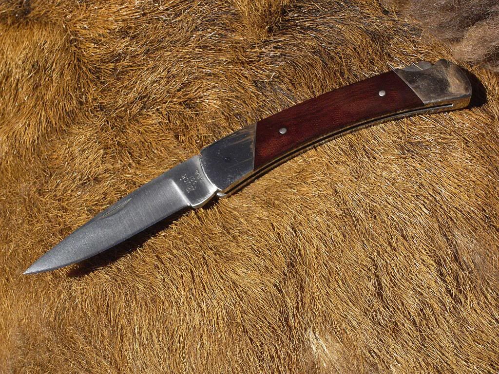 Buck501mickplklein.jpg