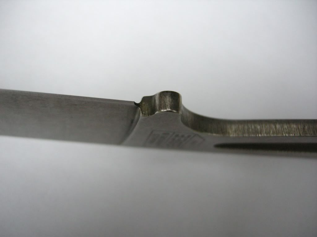 DSCN2618.jpg
