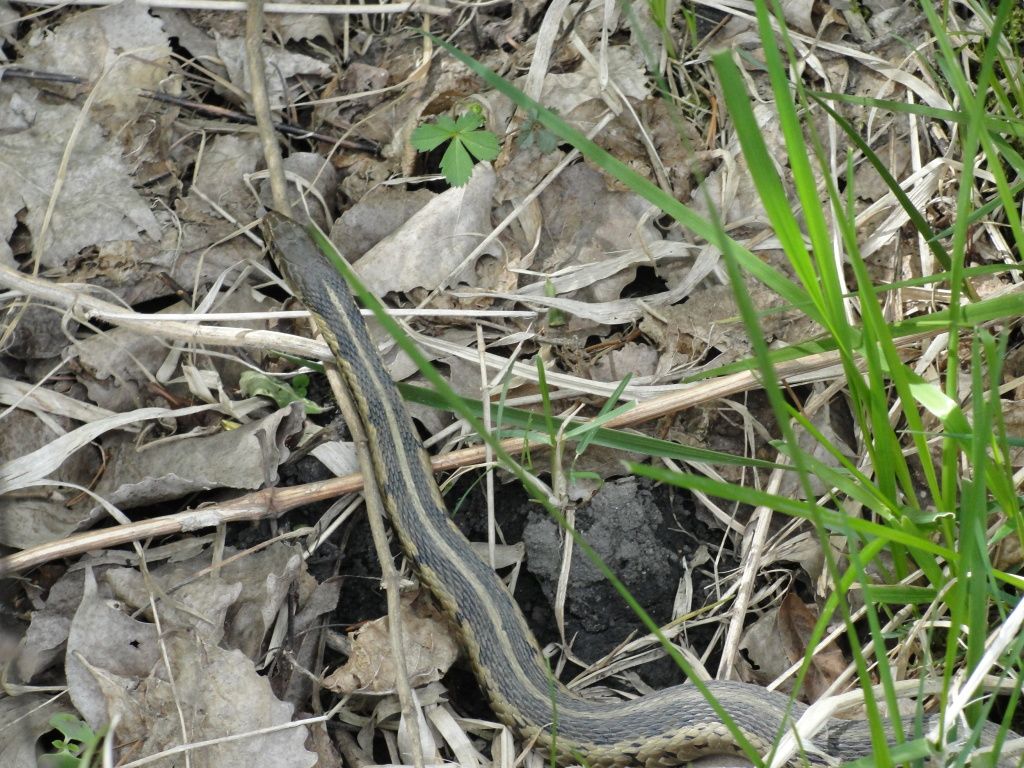 DSC02472.jpg