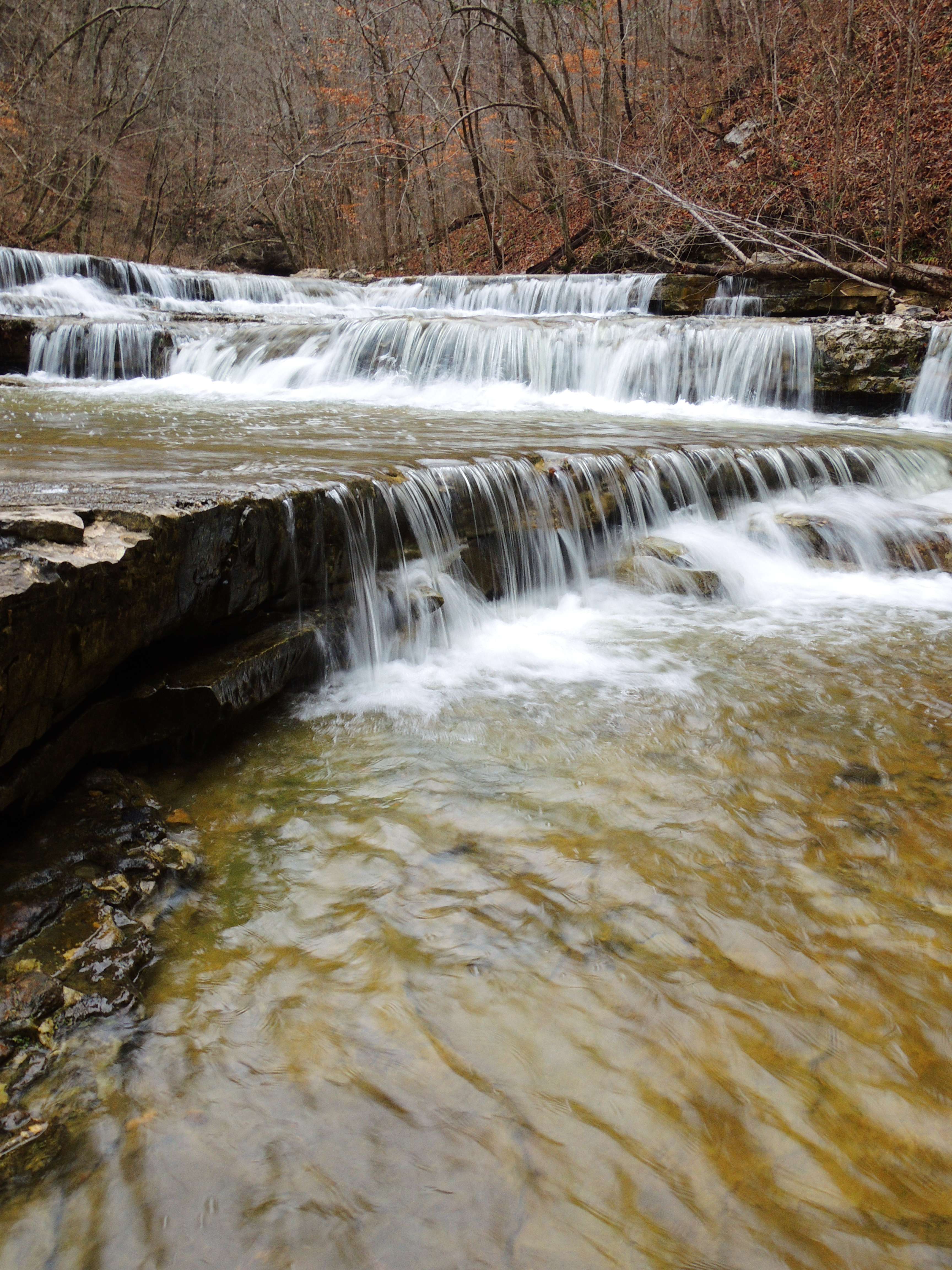 dscn5633.jpg