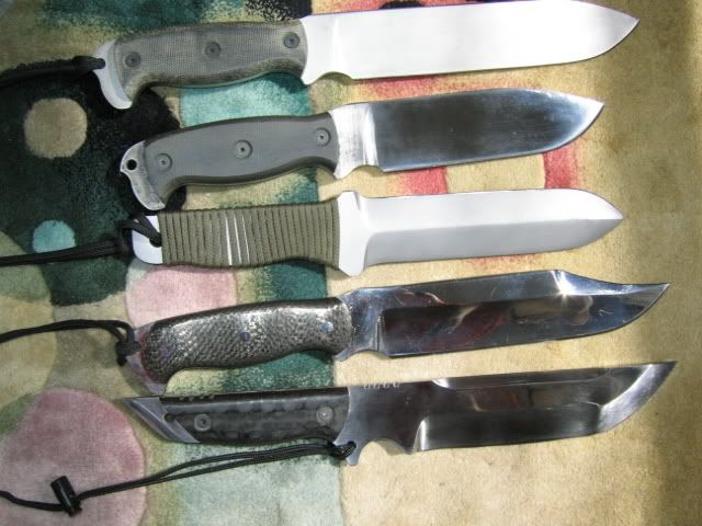 Picture2037.jpg