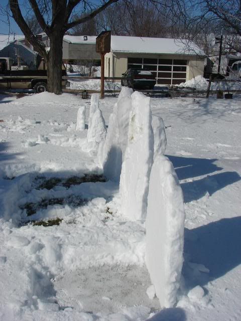 DSC00893.jpg