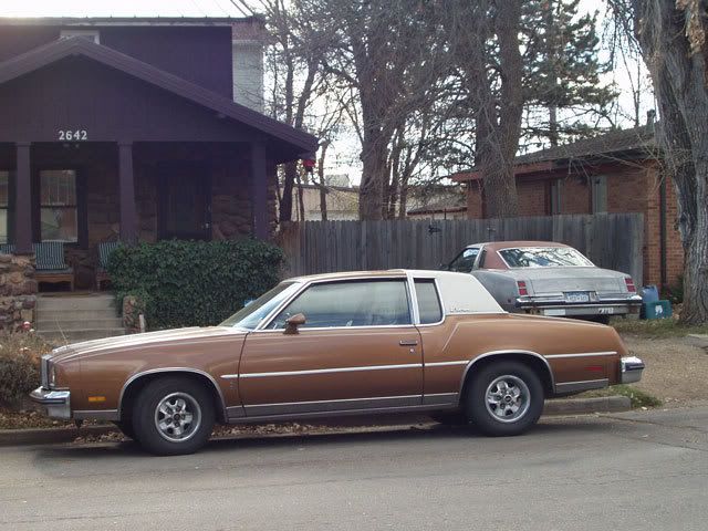 Cutlass_1.jpg