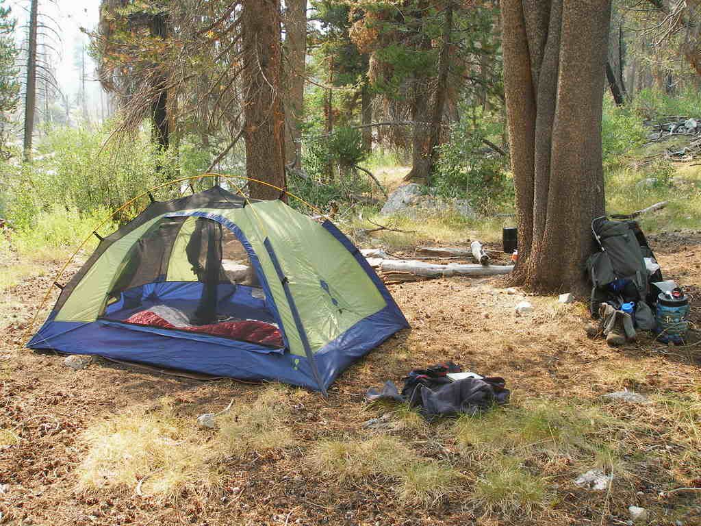 KingsCanyon2007250.jpg