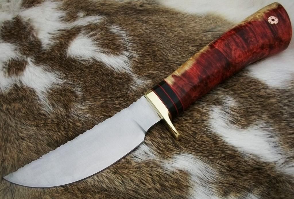 5160-flameelder012.jpg