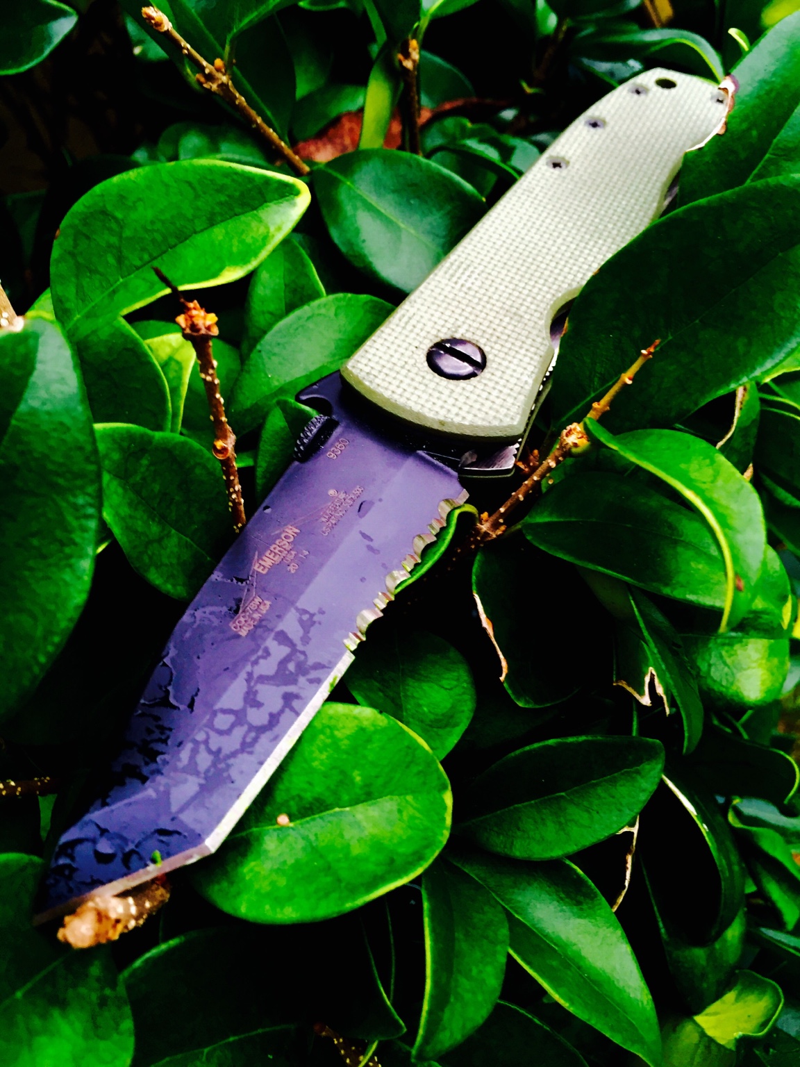 3305fd0a9b06c8bccea40908f68d20fd.jpg