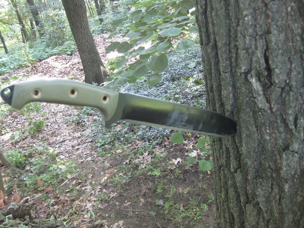 IMG_1175.jpg
