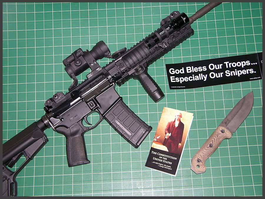 bk2_ar-15_constitution.jpg